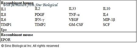Sino Biological KIT10707 image 1