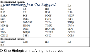 Sino Biological KIT10872 image 1