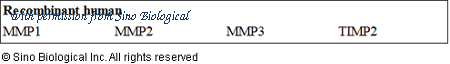 Sino Biological KIT10934 image 1