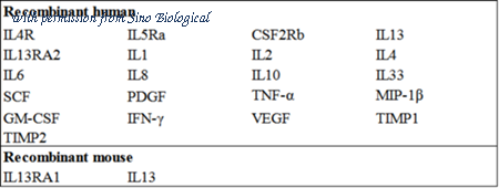 Sino Biological KIT10943 image 1