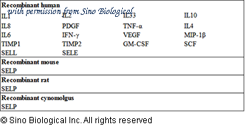 Sino Biological KIT13025 image 1