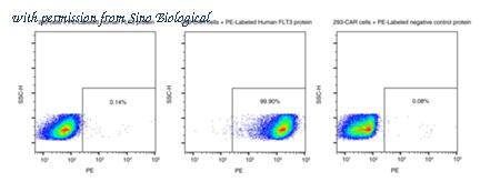 Sino Biological 10445-H86H-SP image 1
