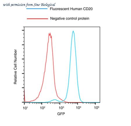 Sino Biological 11007-H08H-VP image 1