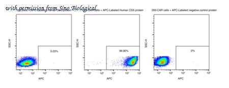 Sino Biological 11027-H86H-SA image 1