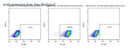 Sino Biological 11027-H86H-SD image 1