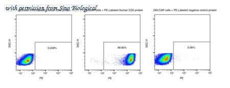 Sino Biological 11027-H86H-SP image 1