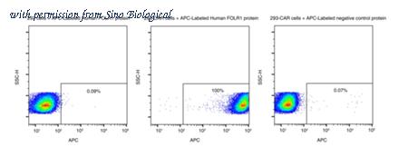 Sino Biological 11241-H86H-SA image 1