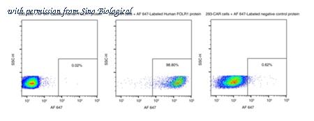 Sino Biological 11241-H86H-SG image 1