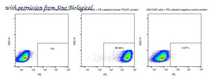 Sino Biological 11241-H86H-SP image 1