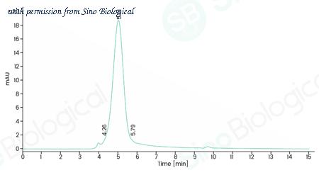 Sino Biological 12241-H08H-UE image 1