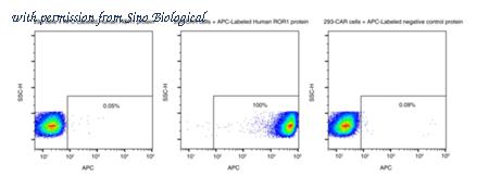 Sino Biological 13968-H86H-SA image 1