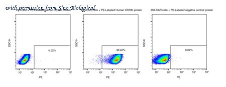 Sino Biological 29750-H86H-SP image 1