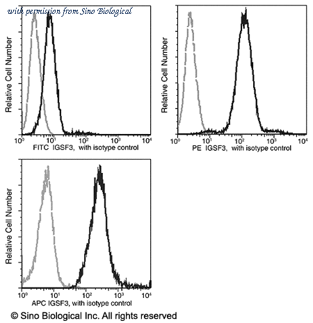 Sino Biological 11290-MM05T-A image 1