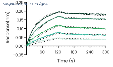 Sino Biological 40440-MM33 image 1