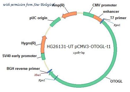 Sino Biological HG26131-UT image 1