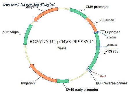 Sino Biological HG26125-UT image 1