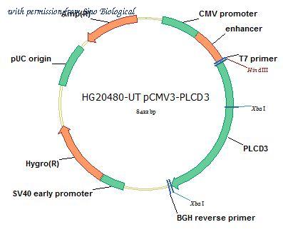 Sino Biological HG20480-UT image 1