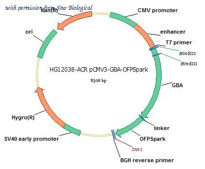 Sino Biological HG12038-ACR image 1