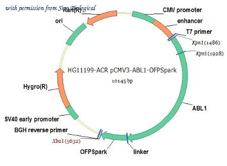Sino Biological HG11199-ACR image 1