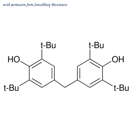 StressMarq Biosciences SIH-154 image 1