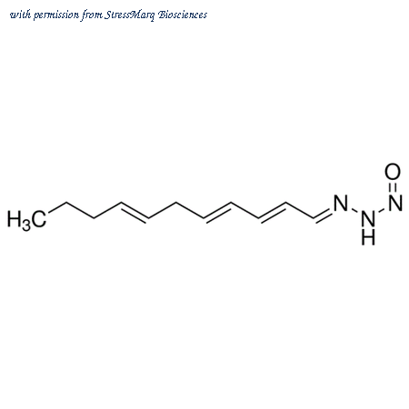 StressMarq Biosciences SIH-203-100UG image 1