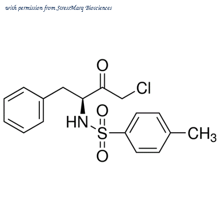 StressMarq Biosciences SIH-207-500MG image 1