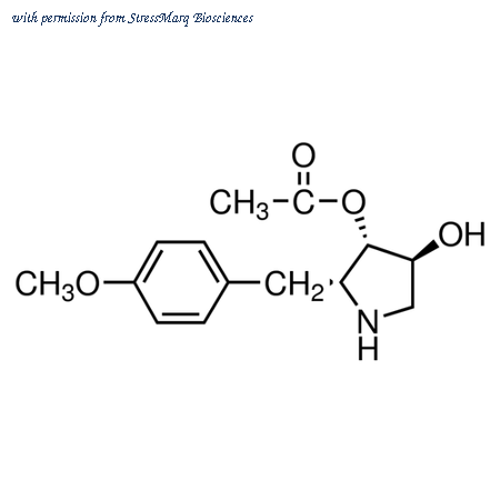 StressMarq Biosciences SIH-266 image 1
