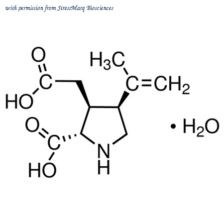 StressMarq Biosciences SIH-364 image 1