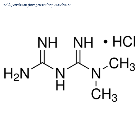 StressMarq Biosciences SIH-395 image 1