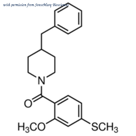 StressMarq Biosciences SIH-454 image 1