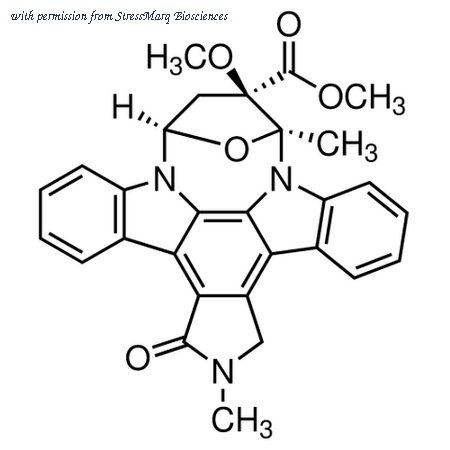 StressMarq Biosciences SIH-458 image 1