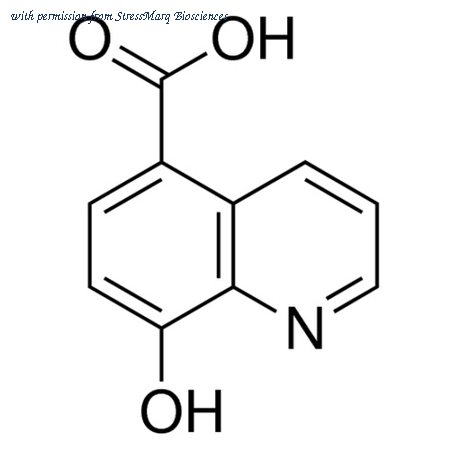 StressMarq Biosciences SIH-377-5MG image 1