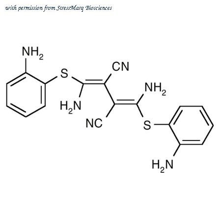 StressMarq Biosciences SIH-380-5MG image 1