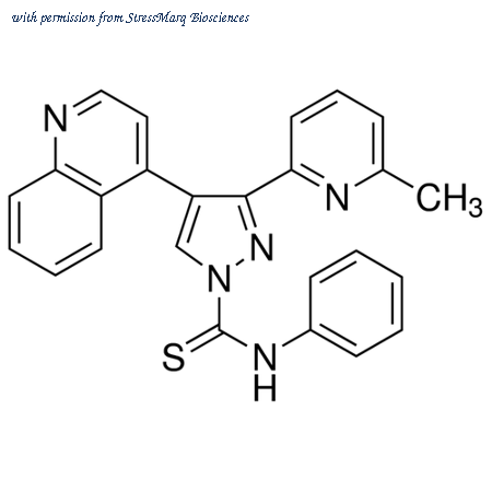StressMarq Biosciences SIH-423 image 1