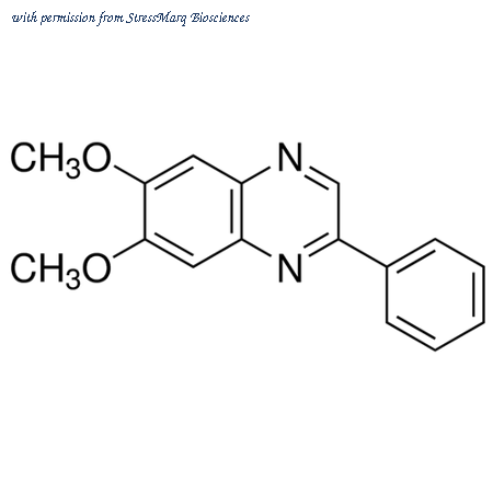 StressMarq Biosciences SIH-426 image 1