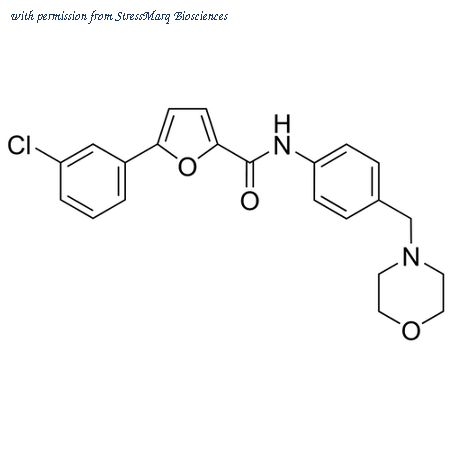 StressMarq Biosciences SIH-438-5MG image 1