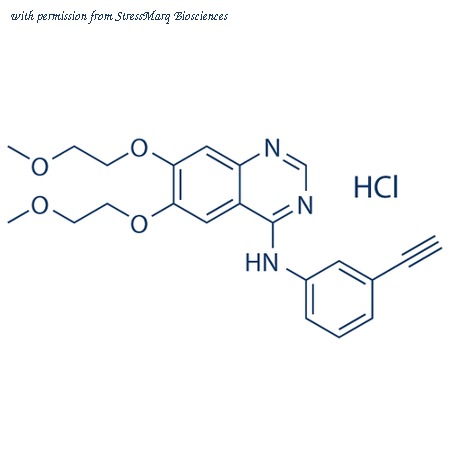 StressMarq Biosciences SIH-444-10MG image 1