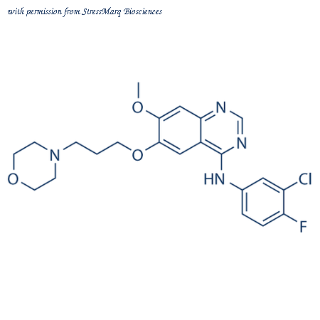 StressMarq Biosciences SIH-445 image 1
