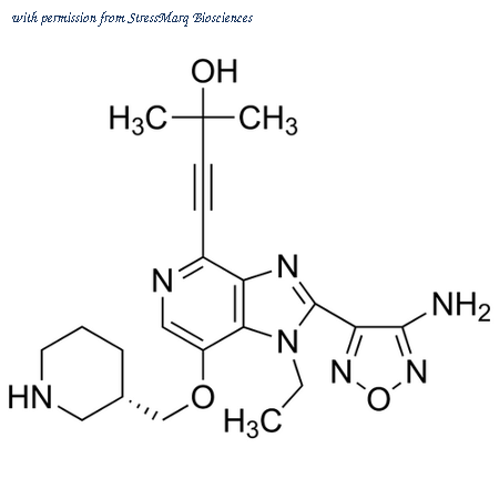 StressMarq Biosciences SIH-448 image 1