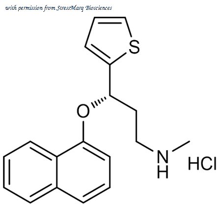 StressMarq Biosciences SIH-549-10MG image 1