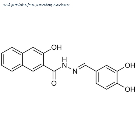 StressMarq Biosciences SIH-550-5MG image 1