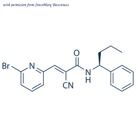 StressMarq Biosciences SIH-337 image 1