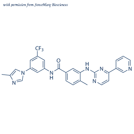 StressMarq Biosciences SIH-463 image 1