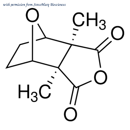 StressMarq Biosciences SIH-519 image 1