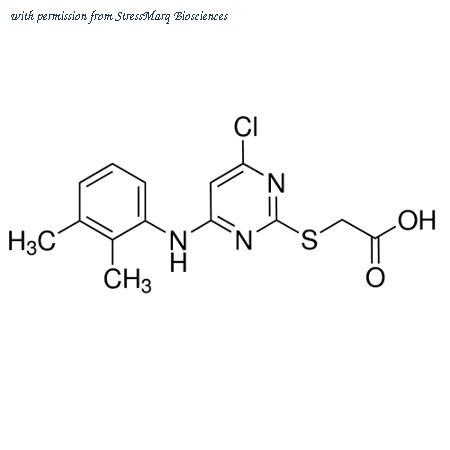 StressMarq Biosciences SIH-531-50MG image 1