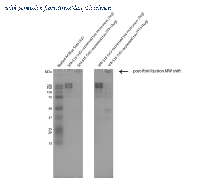 StressMarq Biosciences SPR-516 image 2
