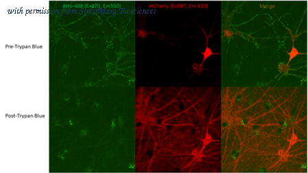 StressMarq Biosciences SPR-518-A488 image 1