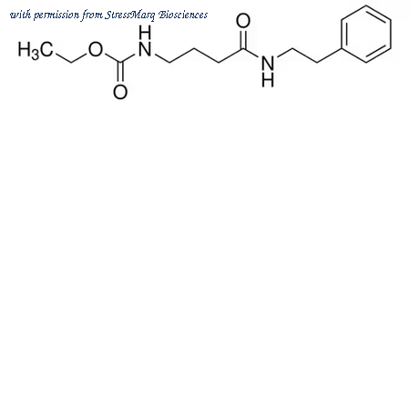 StressMarq Biosciences SIH-613 image 1