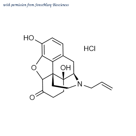 StressMarq Biosciences SIH-620 image 1