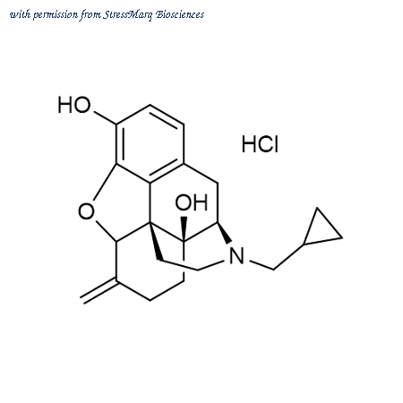 StressMarq Biosciences SIH-621 image 1